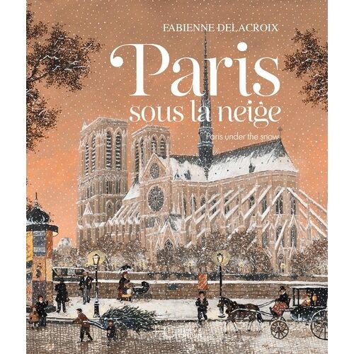 Paris Sous La Neige