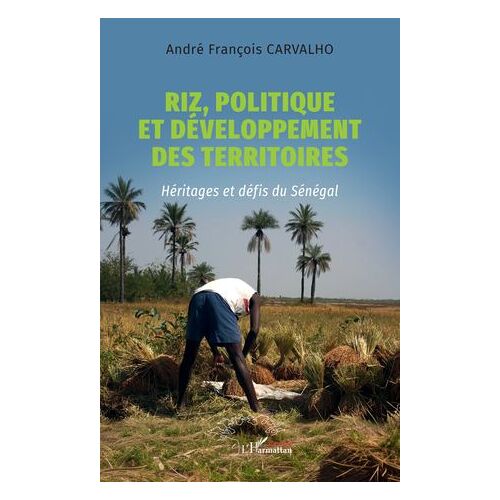 Riz, Politique Et Développement Des Territoires