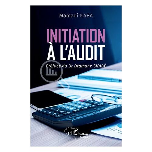 Initiation À L'audit