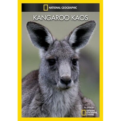 Kangaroo Kaos