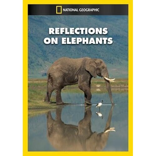 Reflections On Elephants