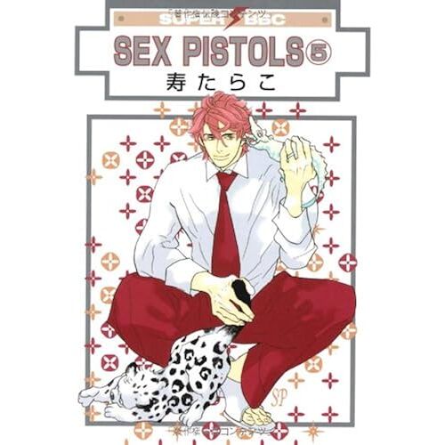 Sex Pistols 5 ()