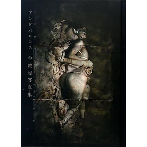 (Th Art Series)