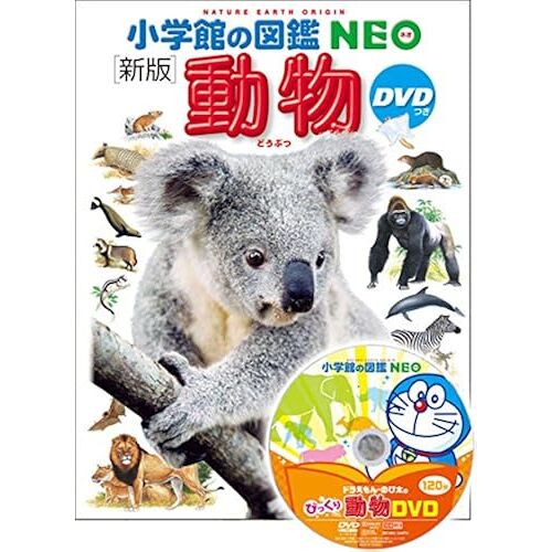 Dvd ( Neo)