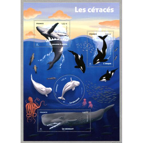 Série Nature : Les Cétacés : Orques, Baleines, Cachalots Feuillet 5962 Année 2026 N° 5962 5963 5964 5965 Yvert Et Tellier Luxe