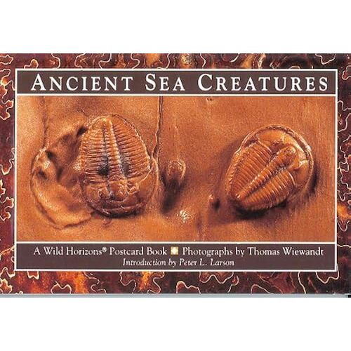 Ancient Sea Creatures: A Wild Horizons Postcard Book