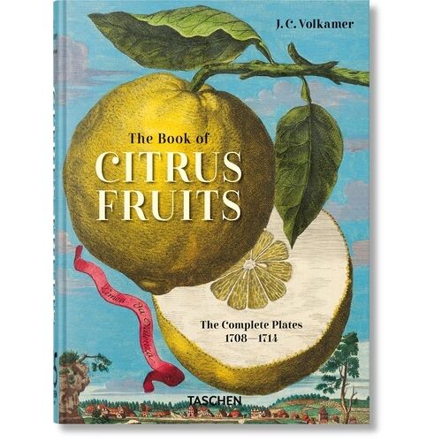 J. C. Volkamer - The Book Of Citrus Fruits