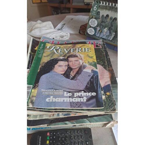 Reverie Color Le Prince Charmant Ecritures Annees 1998