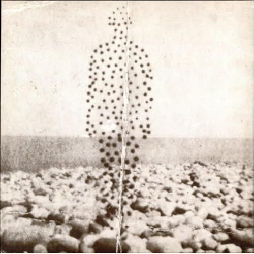 Beme Seed [12 Inch Analog]