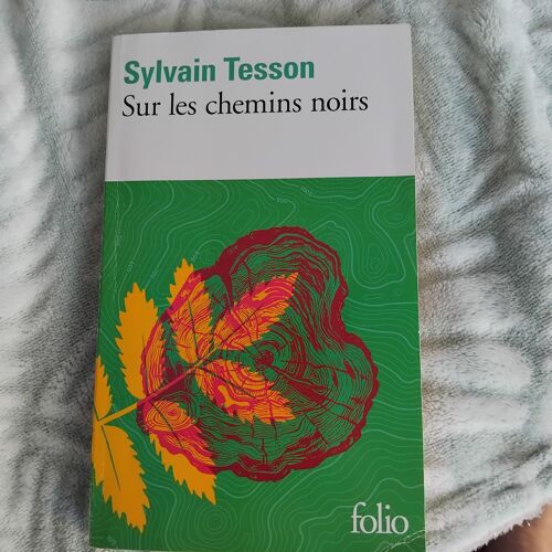 Sylvain Tesson : Sur Les Chemins Noirs. Eloge De L'Énergie Vagabonde. Le Téléphérique. Et Sylvain Tesson Dans Le Livre De Ludovic Escande : L'Ascension Du Mont Blanc