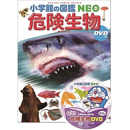 Dvd ( Neo)