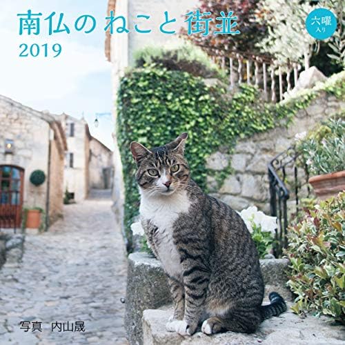 2019 (2019)