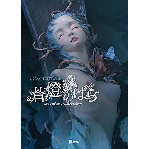 Rico Hoshino - Dolls & Objects (Th Art Series)
