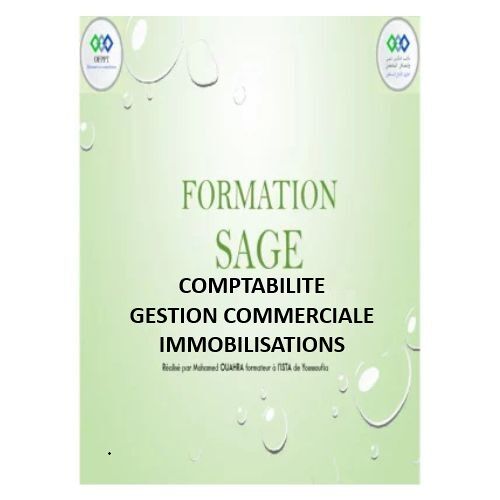 Pack Formations Vidéos Sage 100 Cloud - Comptabilité - Gestion Commerciale -Immobilisations
