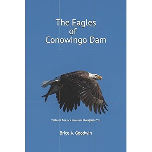 The Eagles Of Conowingo Dam: Tools And Tips For A Successful Photography Trip
