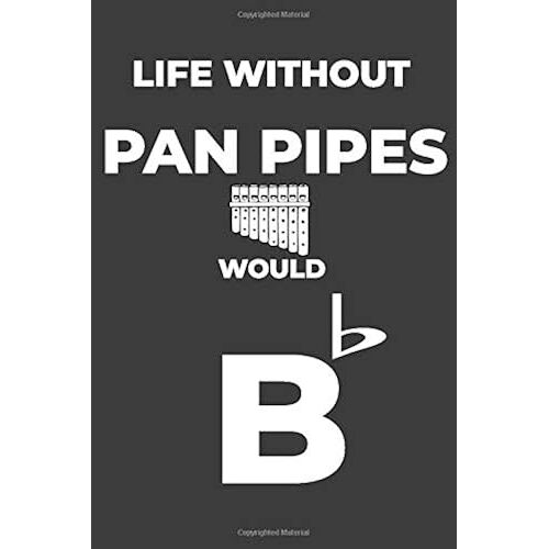 Life Without Pan Pipes: Life Would Be Flat Instrument Music Blank Lined Journal, Notebook, Diary, Birthday Graduation Gift, Planner For Musicians