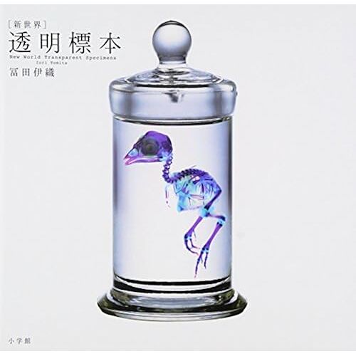 [] New World Transparent Specimen 