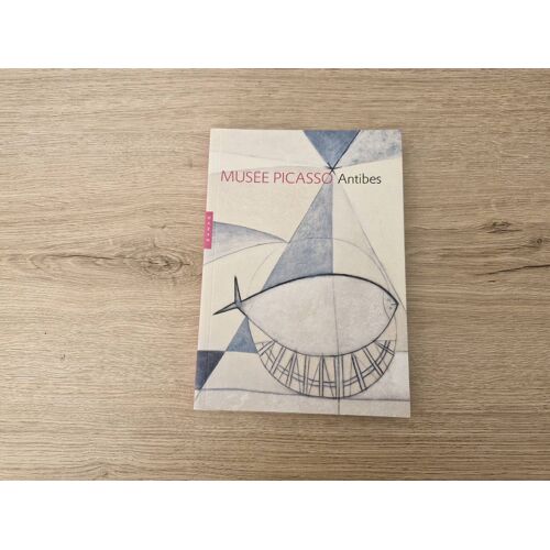 Musée Picasso Antibes : Un Guide Des Collections