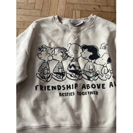 Pull Zara 14 Ans
