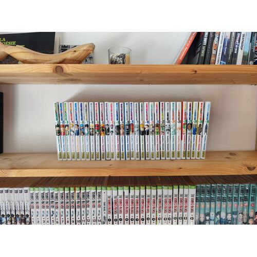Hunter X Hunter Lot 30 Tomes 01 À 30 Kana Vf Bon État Série En Reprise Active