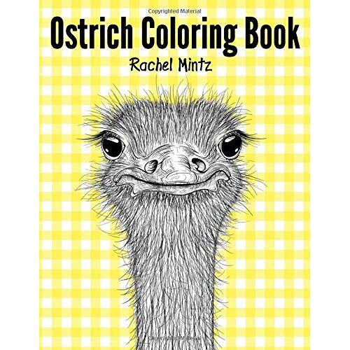 Ostrich Coloring Book: Collection Of Ostriches In Doodle Patterns To Color