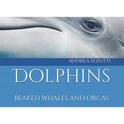 Dolphins: Beaked Whales And Orcas (Born To Be Free)