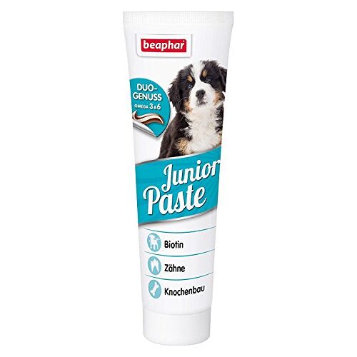 Beaphar Junior Paste Pâte De Montage Pour Chien Chiot De Friandises Pour Chien Ou Chiot Forte Os Dents Avec Biotine Omega 3 6 Avec B Vitamines Tube De 100 G