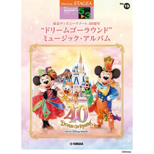 Stagea 53 Vol.19 R40 (Stagea 5 3)