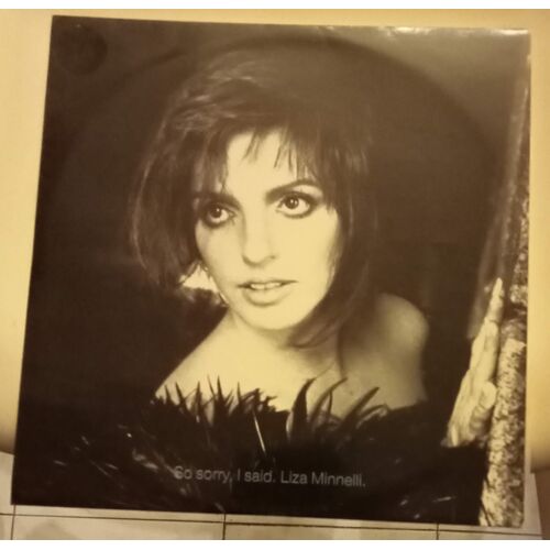 So Sorry, I Said - Maxi 45 Tours ( Liza Minnelli )