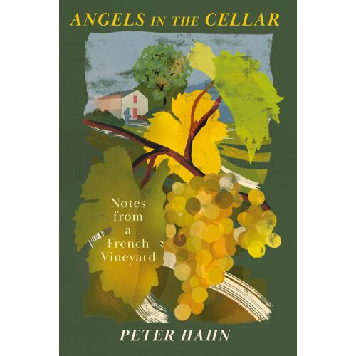Angels In The Cellar