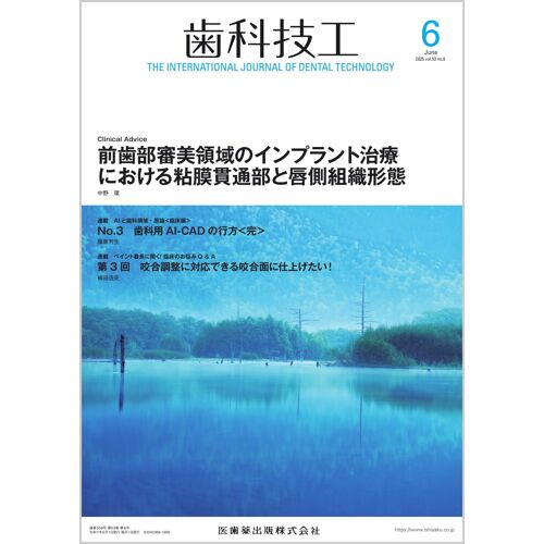 20256 536[]