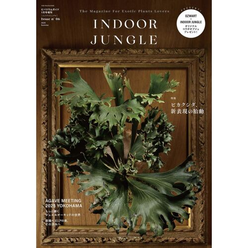 Indoor Jungle No.06 []