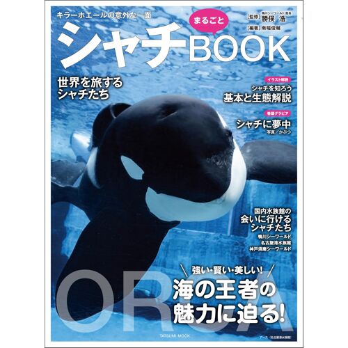 Amazon.Jpb5book (Tatsumi Mook)