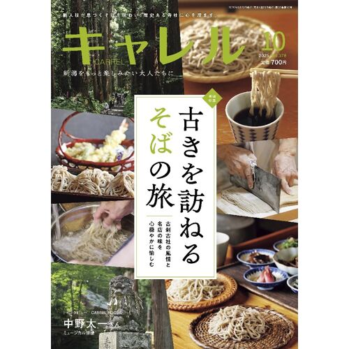 202510, Vol.378, , 104