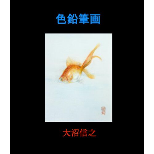 : Colored Pencil Art Nobuyuki Onuma