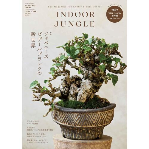 Indoor Jungle 08 []
