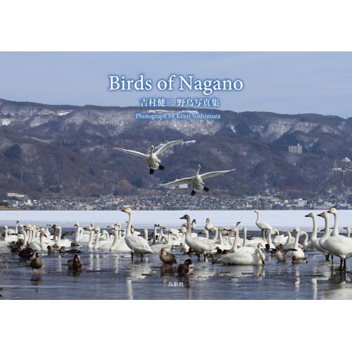 Birds Of Nagano