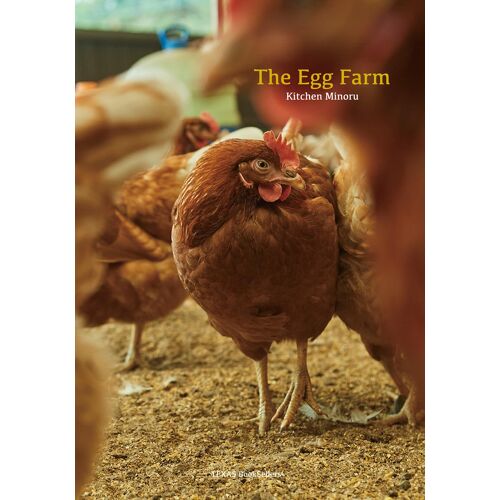 The Egg Farm: A Day