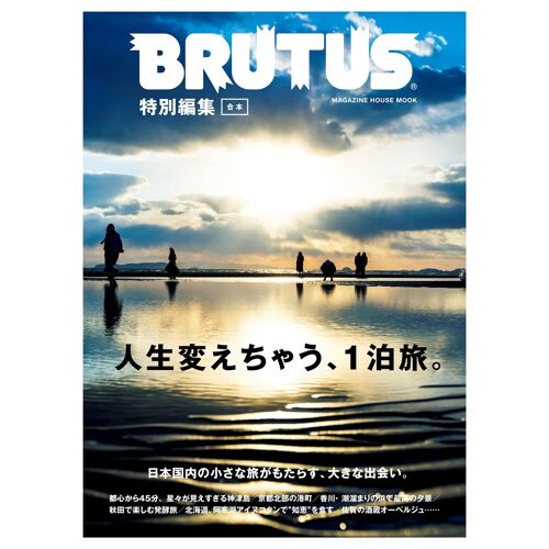 Brutus (Magazine House Mook)