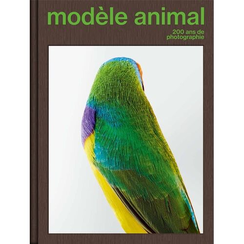 Modèle Animal - 200 Ans De Photographie