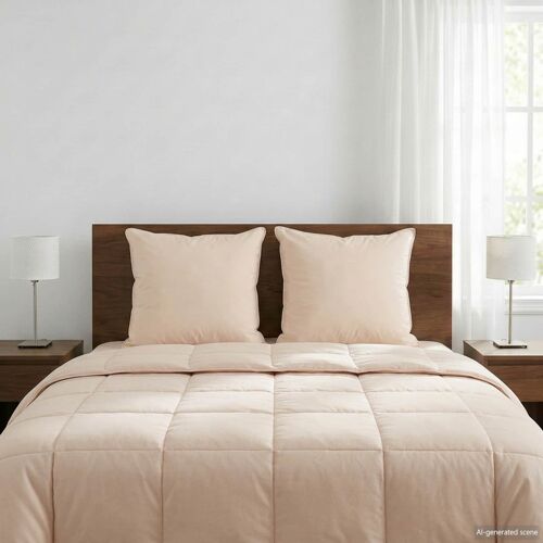 Vidaxl Oreiller 2 Pcs Beige 60 X 60 Cm Fibre De Kapok