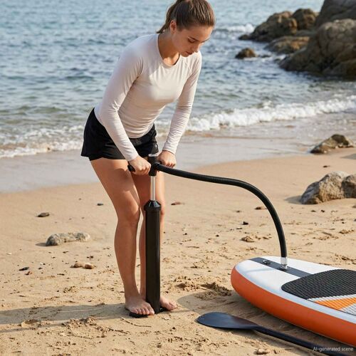 Vidaxl Pompe À Main Sup Avec Manomètre Noir Pp