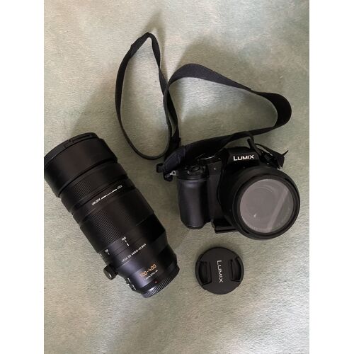 Panasonic Lumix DMC-G81 + 12-60 mm + Leica DG Vario-Elmar 100-400 mm