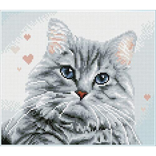 DIAMOND DOTZ- Katze Squares Pricilla, Environ Peinture Diamant à Faire soi-même-27 x 31 cm-pour Enfants et Adultes, DQ7 Intermediate Kit, coloré