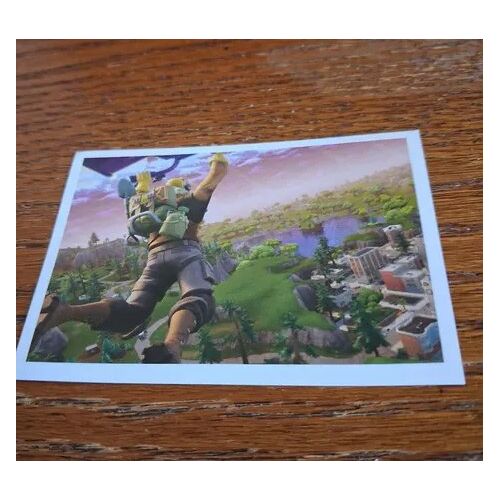 Image Panini Fortnite N°014