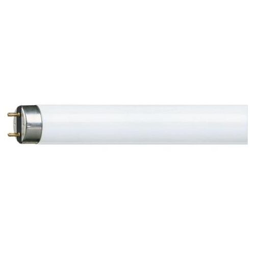 Philips MASTER TL-D Super 80 ampoule fluorescente 36 W G13 Lumière du jour froide