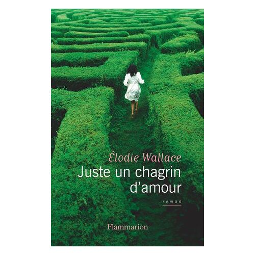 Juste Un Chagrin D'amour