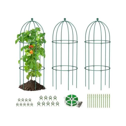 Ensemble De 3 Supports Métalliques Sunyrisy Pour Plantes Grimpantes Sur Pergola 80 X 40 Cm, Obélisque Fer Époxy Vert, Tomates