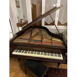 Vend Piano Allemand 1/2 Queue . Marque Réputée Forster . Très Bon État . Visible Sur Reims. Longueur Totale Avec Clavier 184 Cm . Largeur 152 Cm . Plateau172 X152