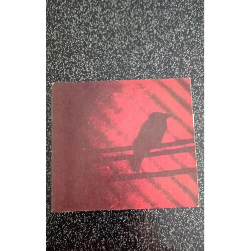 Thee Silver Mt Zion. Born Into Trouble. Cd